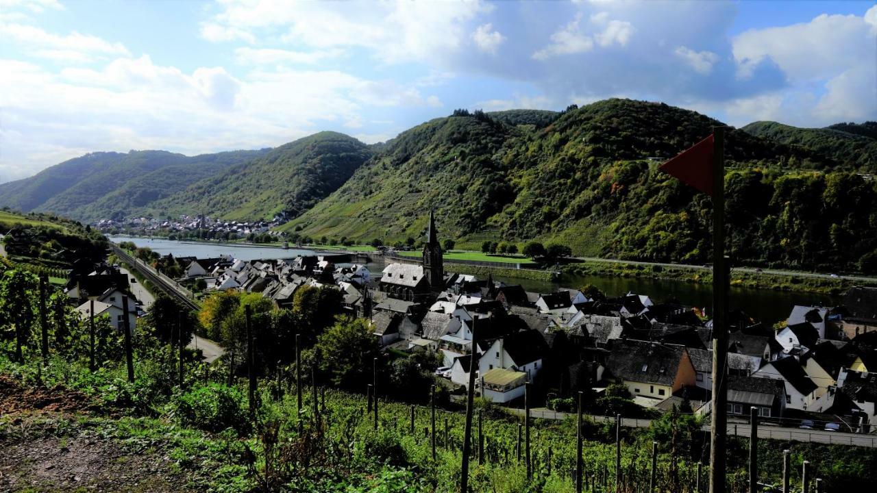 Ferienhaus Erich Bremm Mit Moselblick Neef Екстер'єр фото